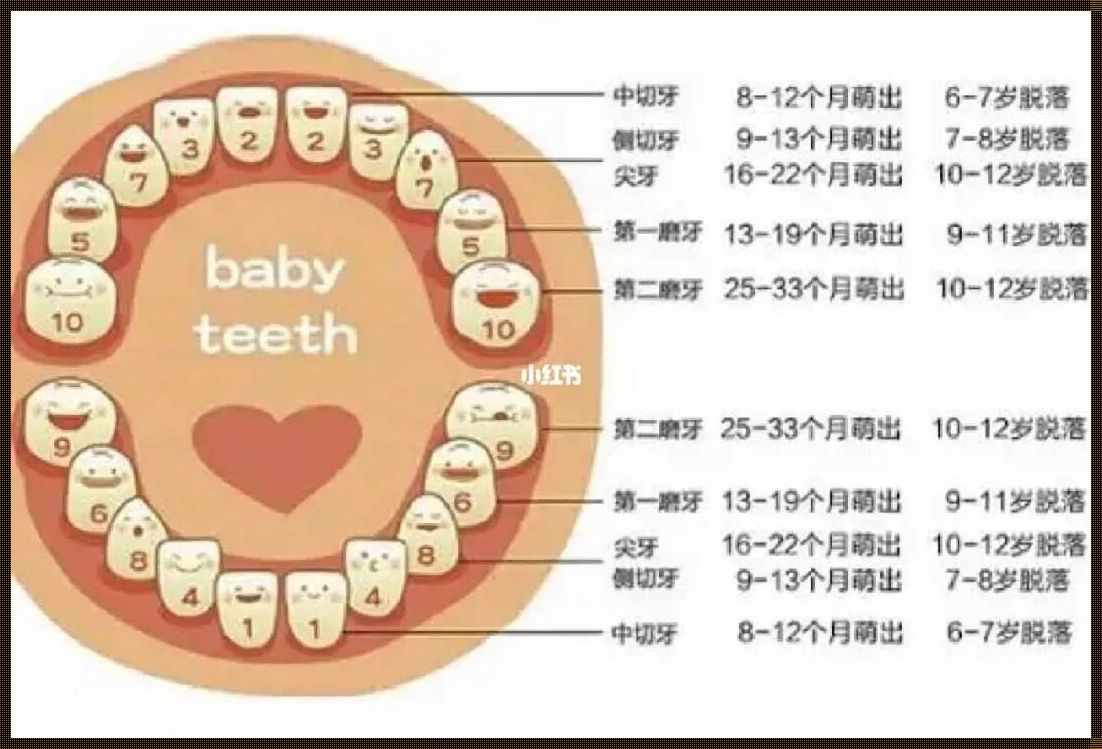 十一个月宝宝没长牙齿正常吗？