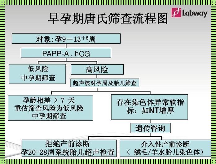 备孕之旅，探索唐筛抑制素a的重要性