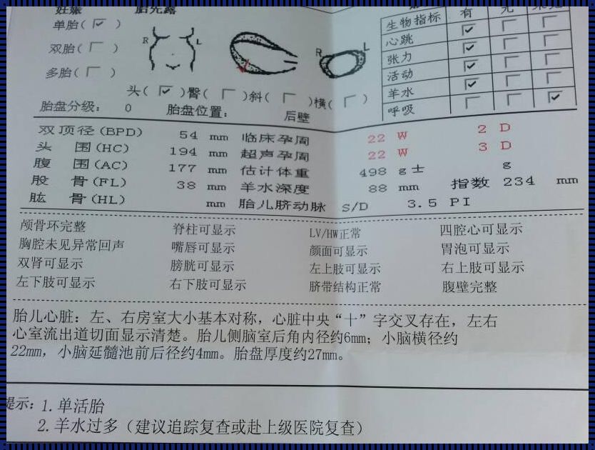 羊水指数波动大？掌握这些育儿经验，让你的育儿之路更稳当！