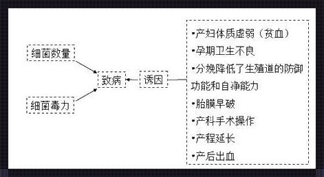 备孕那些事儿：揭秘产褥期感染填空题