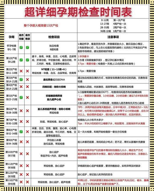 备孕肚子检查费用解析：你了解多少？