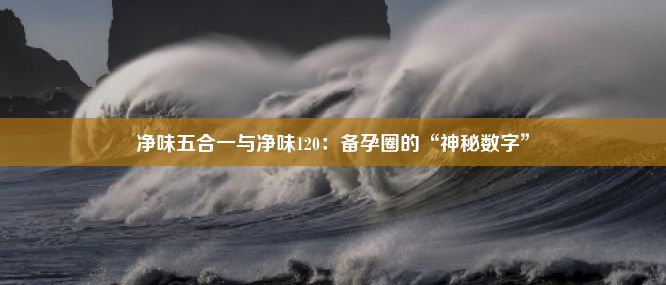 净味五合一与净味120：备孕圈的“神秘数字”