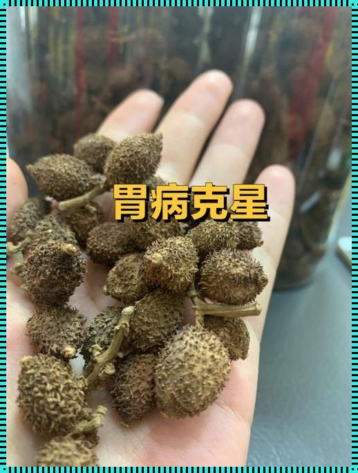 揭开砂仁的神秘面纱：过量食用对宝宝的潜在危害