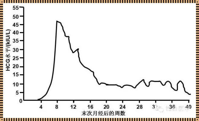 生化妊娠hcg变化全过程：产后恢复行业的惊人揭秘