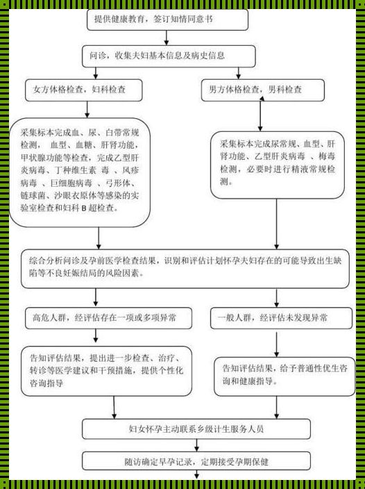 揭秘：怀孕检查全过程