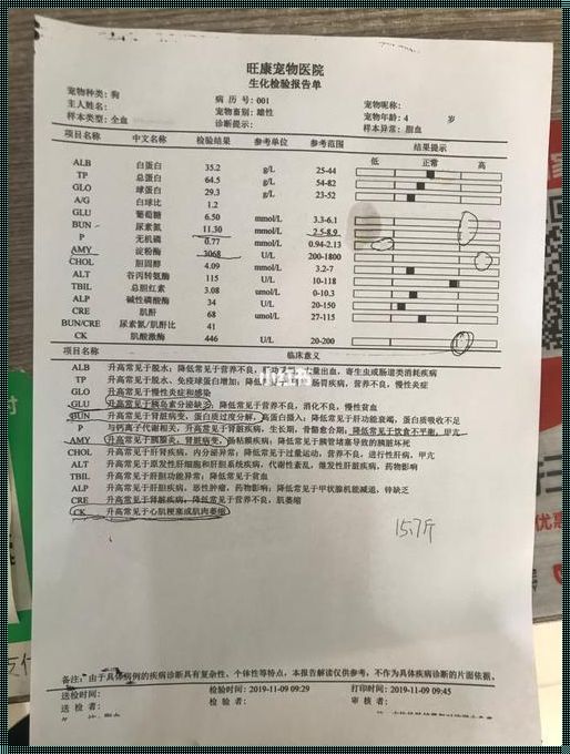 手术尿结石多少费用：探秘费用背后的故事