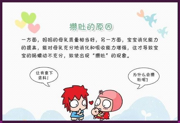 攒肚：传统与生态的双重考量