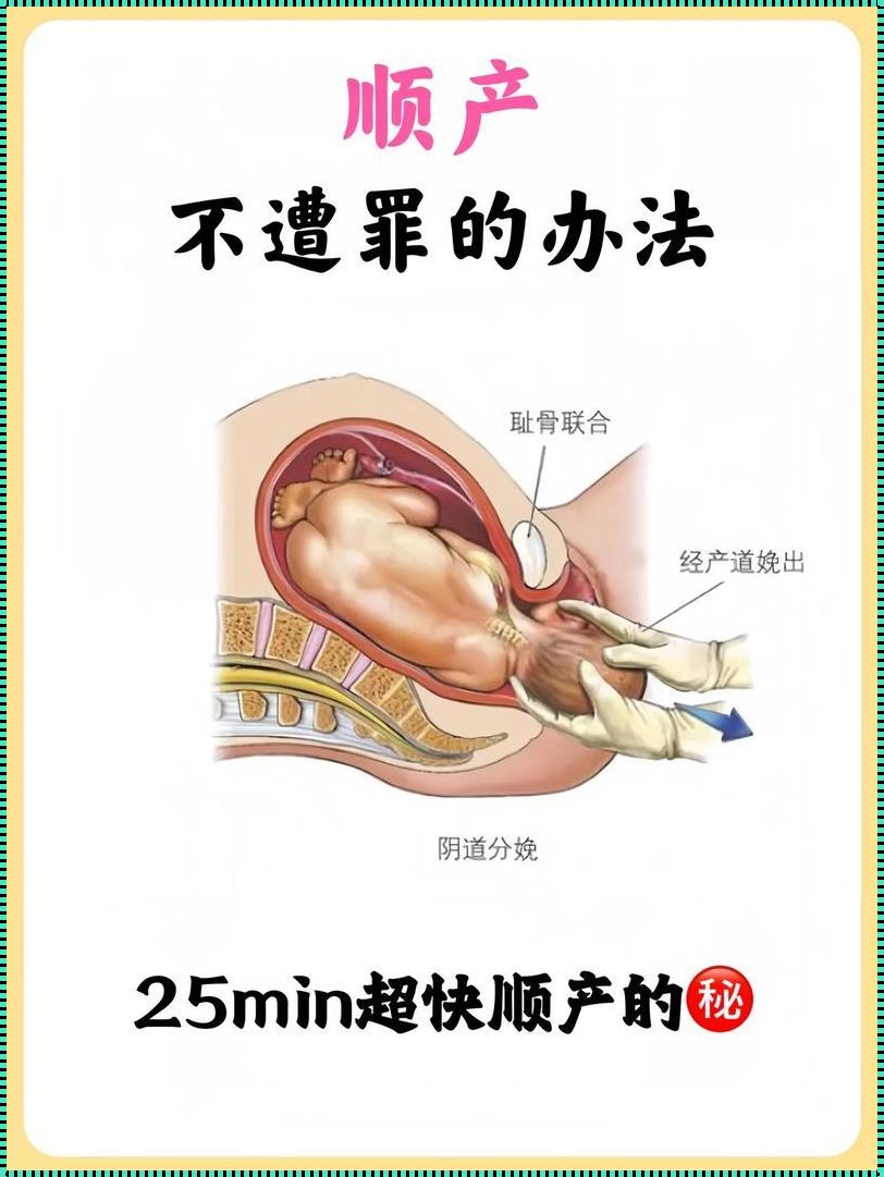 侧切次数与顺产可能性之间的关系