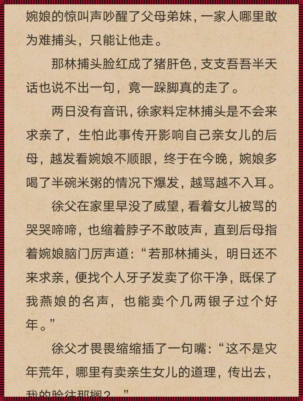 《将军，不可以！林修捕头与徐婉娘的笔趣阁》