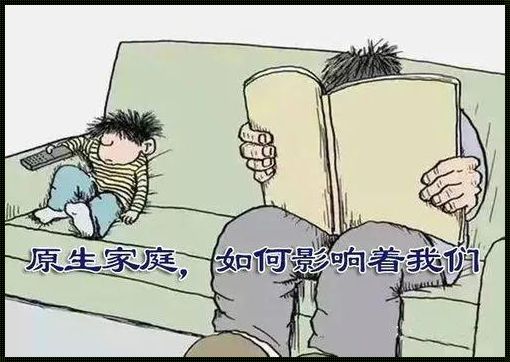 “父母仇视症”：一种披着叛逆外衣的痛楚