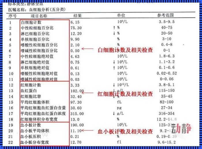 血常规报告单怎么看（揭秘那些让你头大的“天书”密码）