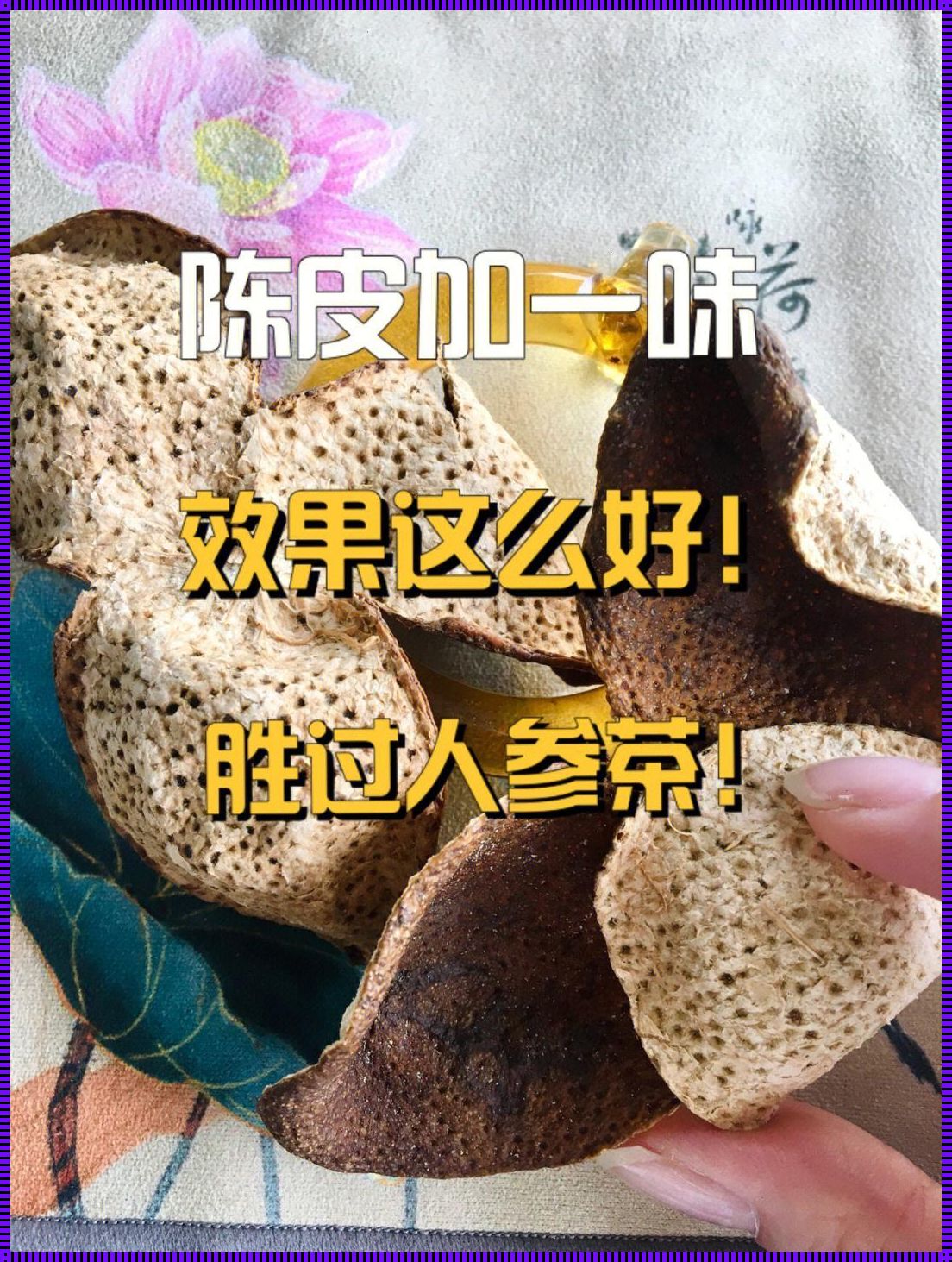 陈皮加“神秘伴侣”：壮阳路途上的奇幻冒险