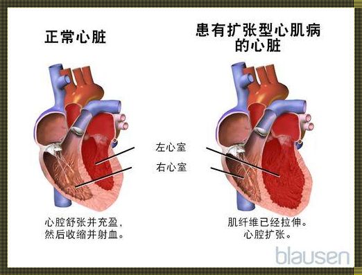 “心扩四大特征，谁说不是可爱又诡谲？”