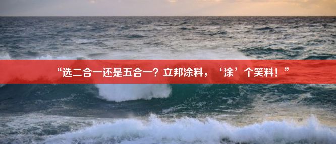 “选二合一还是五合一？立邦涂料，‘涂’个笑料！”