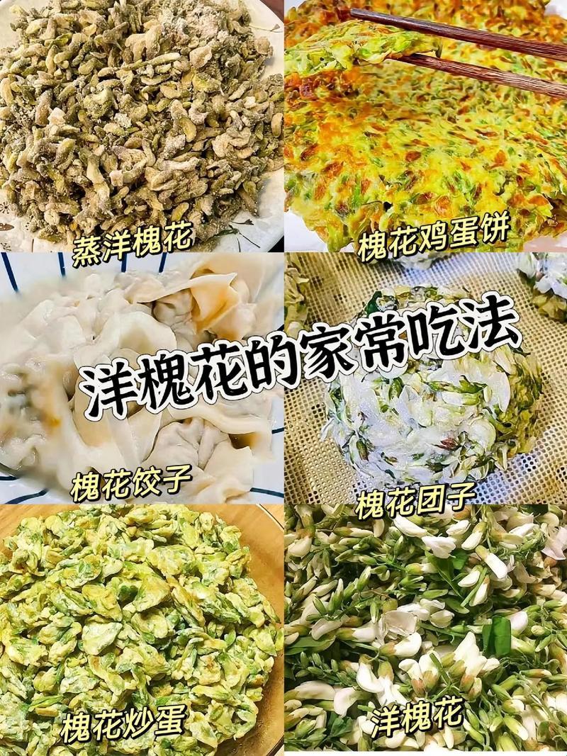 “干洋槐花，十面埋伏：花中探宝，吃出新境界”