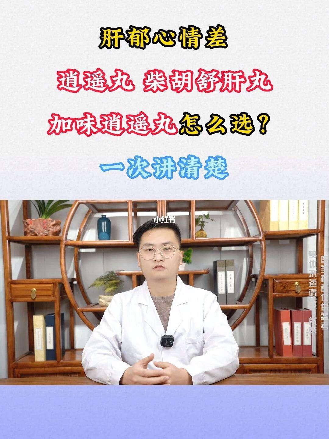 【肝胆相照，笑傲江湖】柴胡逍遥，丸界双雄的俏皮传说