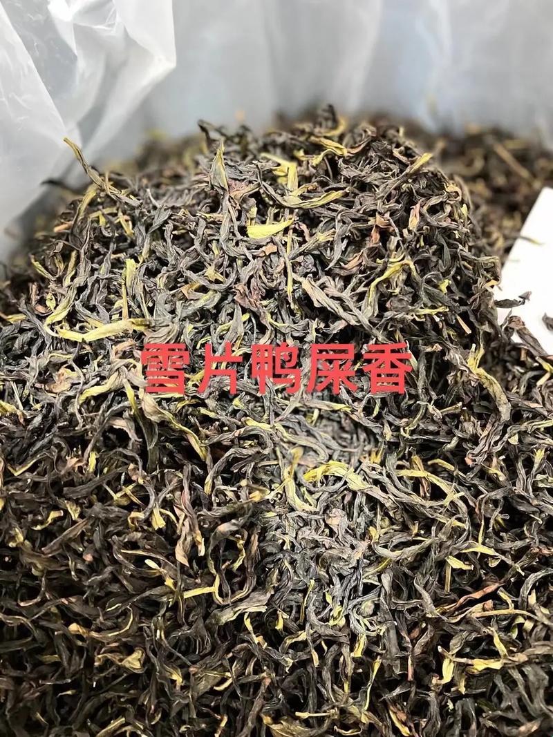 半发酵茶，品种界的奇葩大揭秘