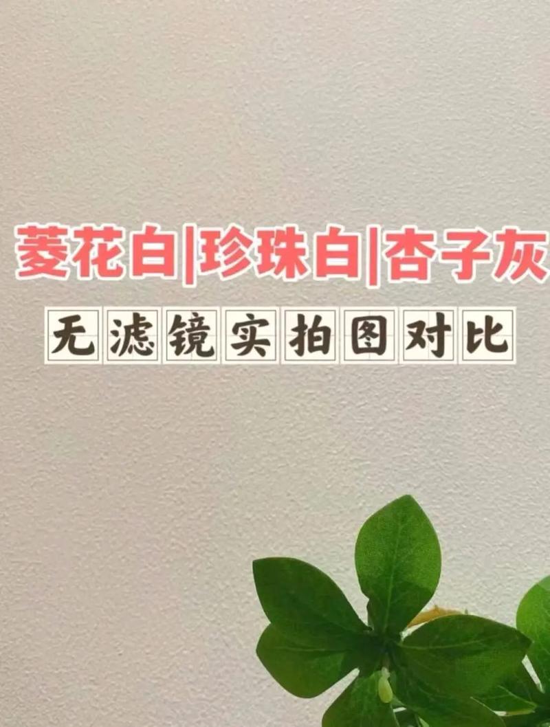 “珠”联璧合还是“菱”角分明？探秘乳胶漆的白色迷思