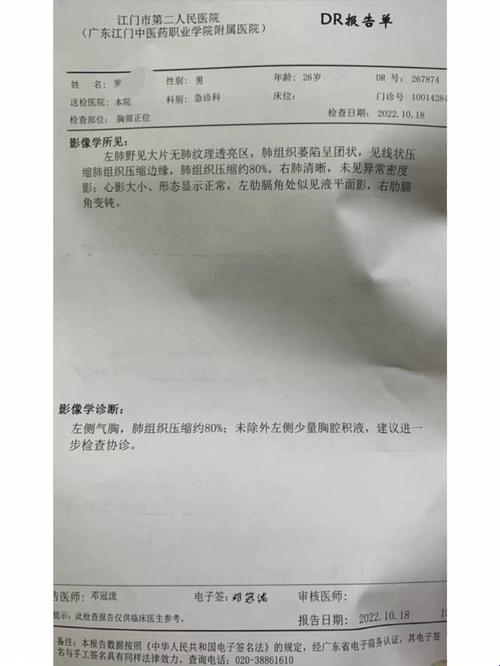 “气破胸膛，四万块大洋飘摇：报销之路，何去何从？”