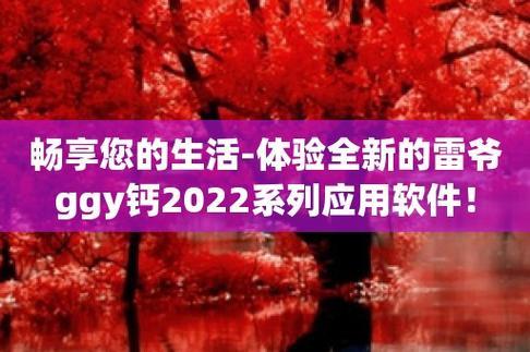 2023钙Gy钙站：笑谈江湖，自嘲人生