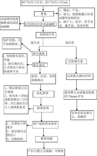 《产房里的“星际穿越”：正位接生的奇妙之旅》