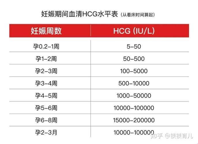 双胞胎Hcg翻倍，速度是不是像兔子繁殖？