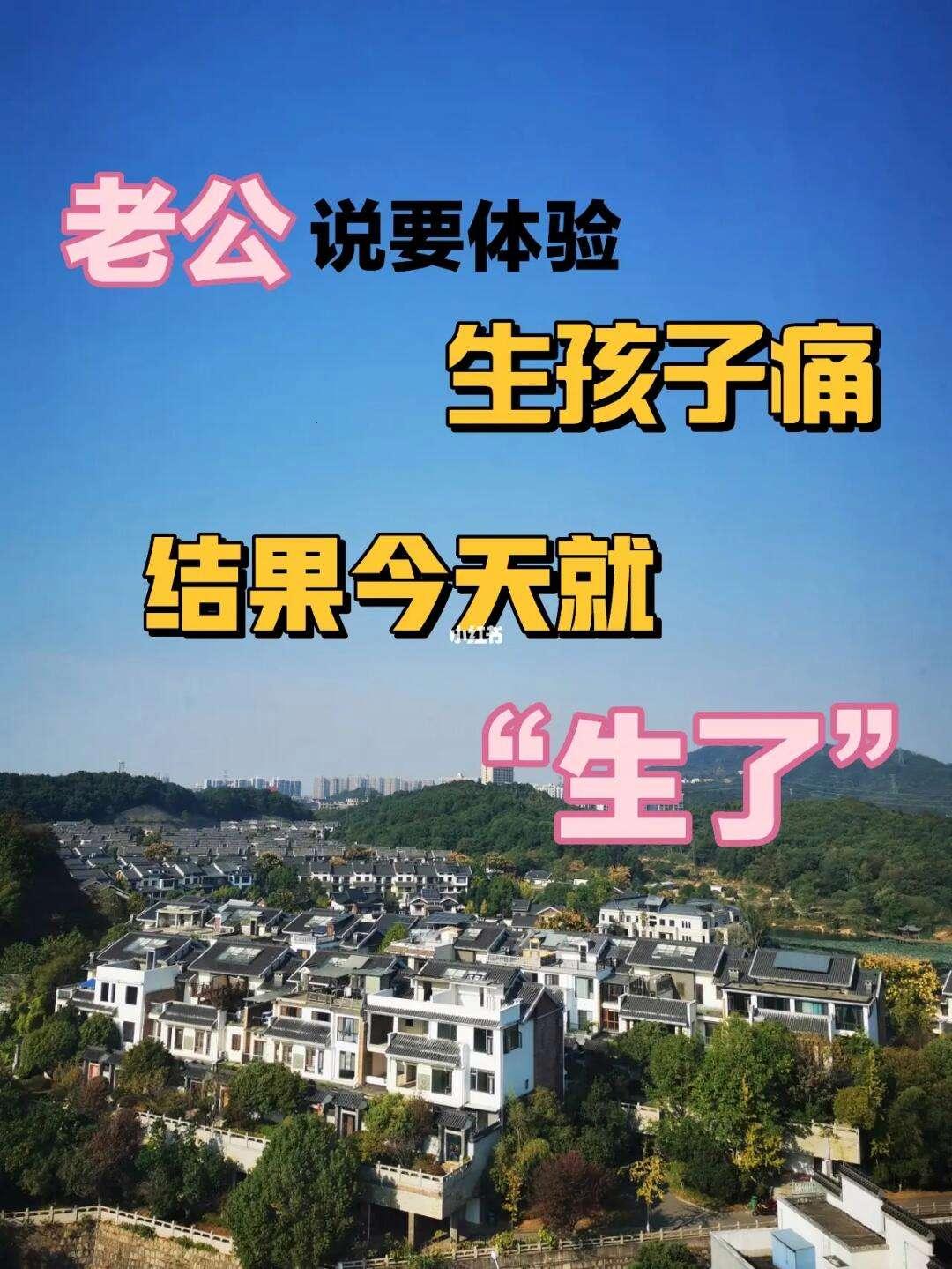 “娃儿未诞，先求领养：预产期前的爆笑逆袭”