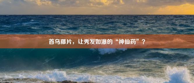 首乌藤片，让秀发如瀑的“神仙药”？