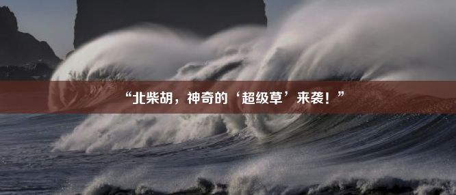 “北柴胡，神奇的‘超级草’来袭！”