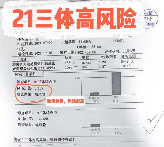 《21三体高风险，凉拌还是热炒？》