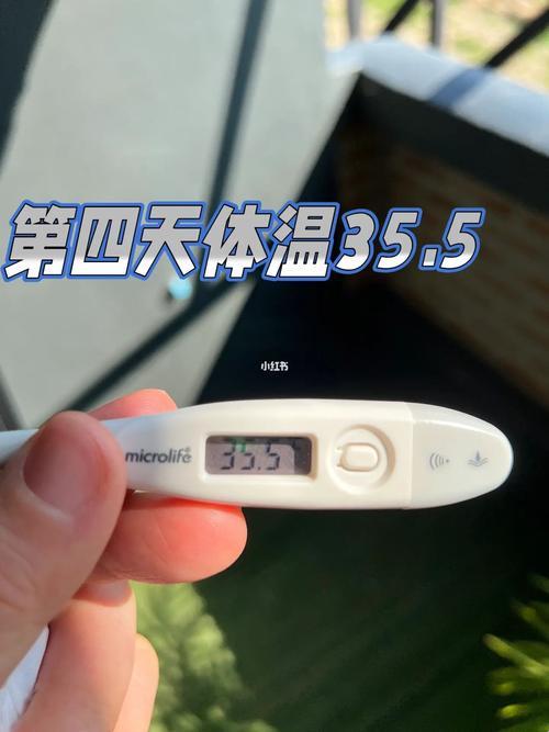 35.5℃的娃，汗流浃背的奇观