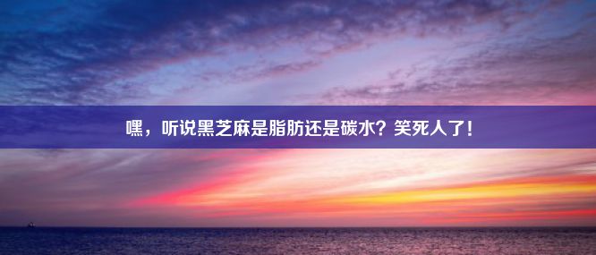 嘿，听说黑芝麻是脂肪还是碳水？笑死人了！