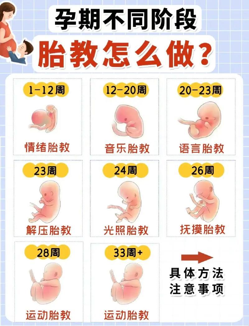 怀孕12周“窥探”性别：技巧还是戏法？