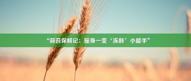 “蒜苔保鲜记：摇身一变‘冻龄’小能手”