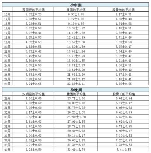 双顶径与股骨长：胎儿体重计算的趣味探险