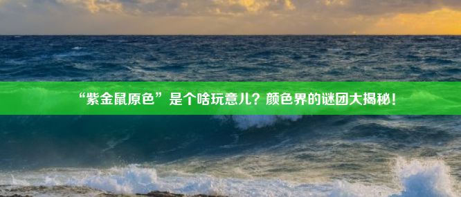 “紫金鼠原色”是个啥玩意儿？颜色界的谜团大揭秘！