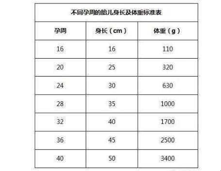 亚洲胎儿成长记：小不点的体重「奥秘」