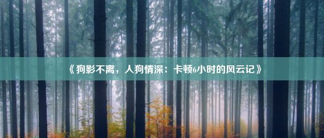 《狗影不离，人狗情深：卡顿6小时的风云记》