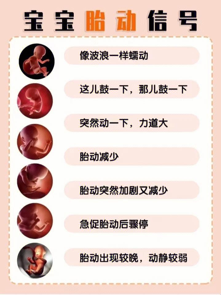 踢肚子舞的神秘频率：12小时多少次才达标？