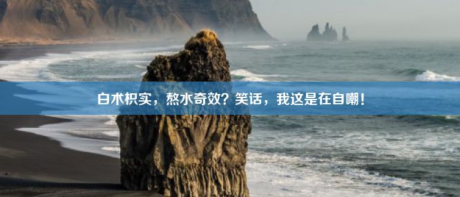 白术枳实，熬水奇效？笑话，我这是在自嘲！