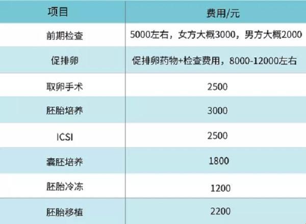 冻胚移植，金钱游戏里的“冰块拼图”