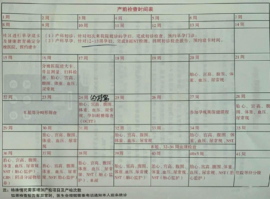 上海孕妇建档：一场“妊娠之旅”的奇妙开局