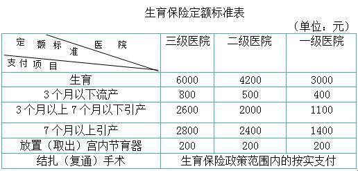 费用揭秘：六个月引产手术的“金榜题名”之路