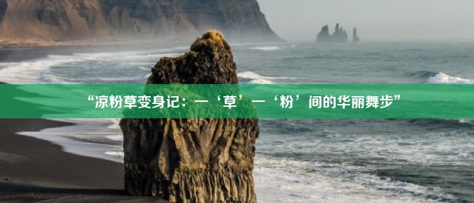 “凉粉草变身记：一‘草’一‘粉’间的华丽舞步”