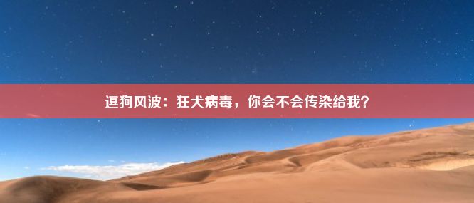 逗狗风波：狂犬病毒，你会不会传染给我？