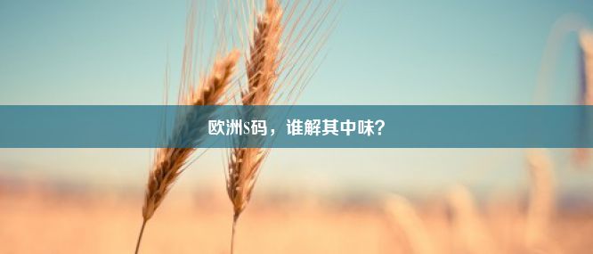 欧洲S码，谁解其中味？