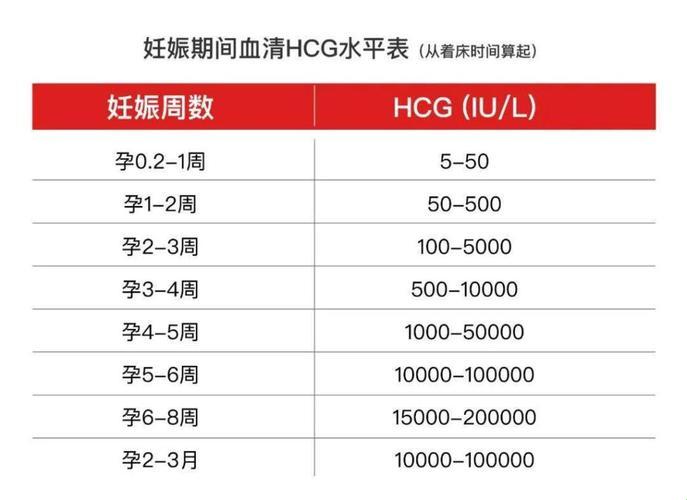 《双胎VS单胎：hcg值大乱斗，笑看妊娠激素的奇妙旅程》