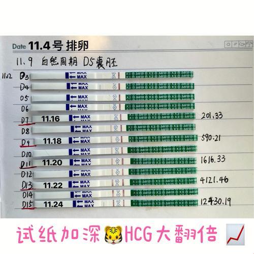 血HCG单位“读”秘籍：笑谈人生新境界