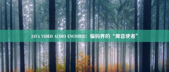 JAVA VIDEO AUDIO ENCODER：编码界的“魔音使者”