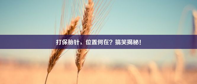 打保胎针，位置何在？搞笑揭秘！